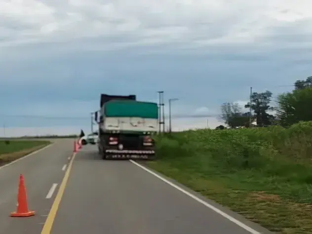 El camionero aseguró que no pudo esquivarla.