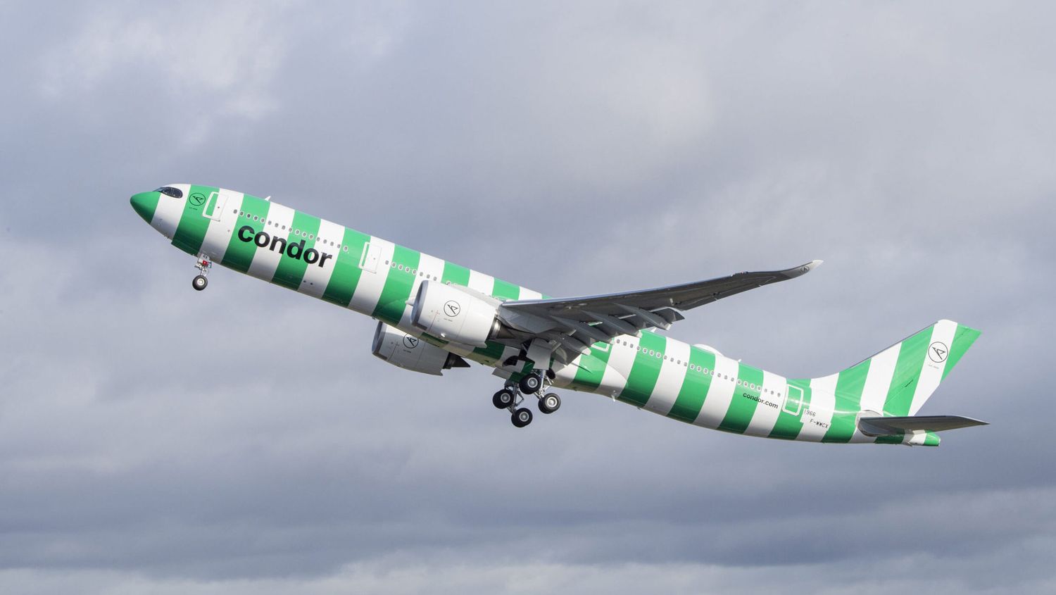 Condor tendrá vuelos chárter a Brasil, Chile, Perú y Uruguay