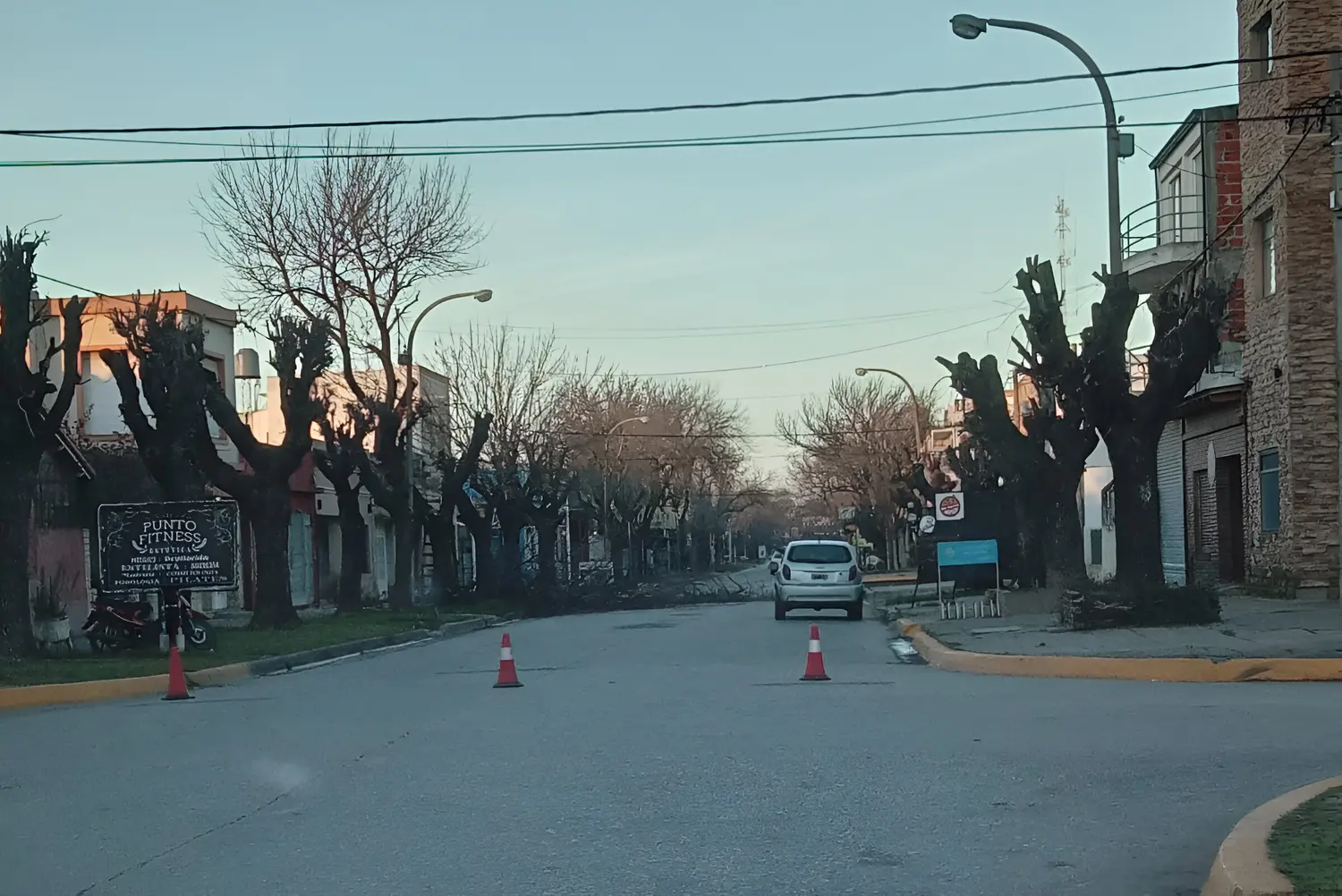 ¿Poda en septiembre, cuando las plantas tiene brotes?