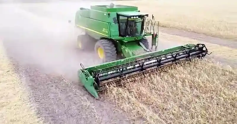 Crítico final de la campaña de trigo en Santa Fe