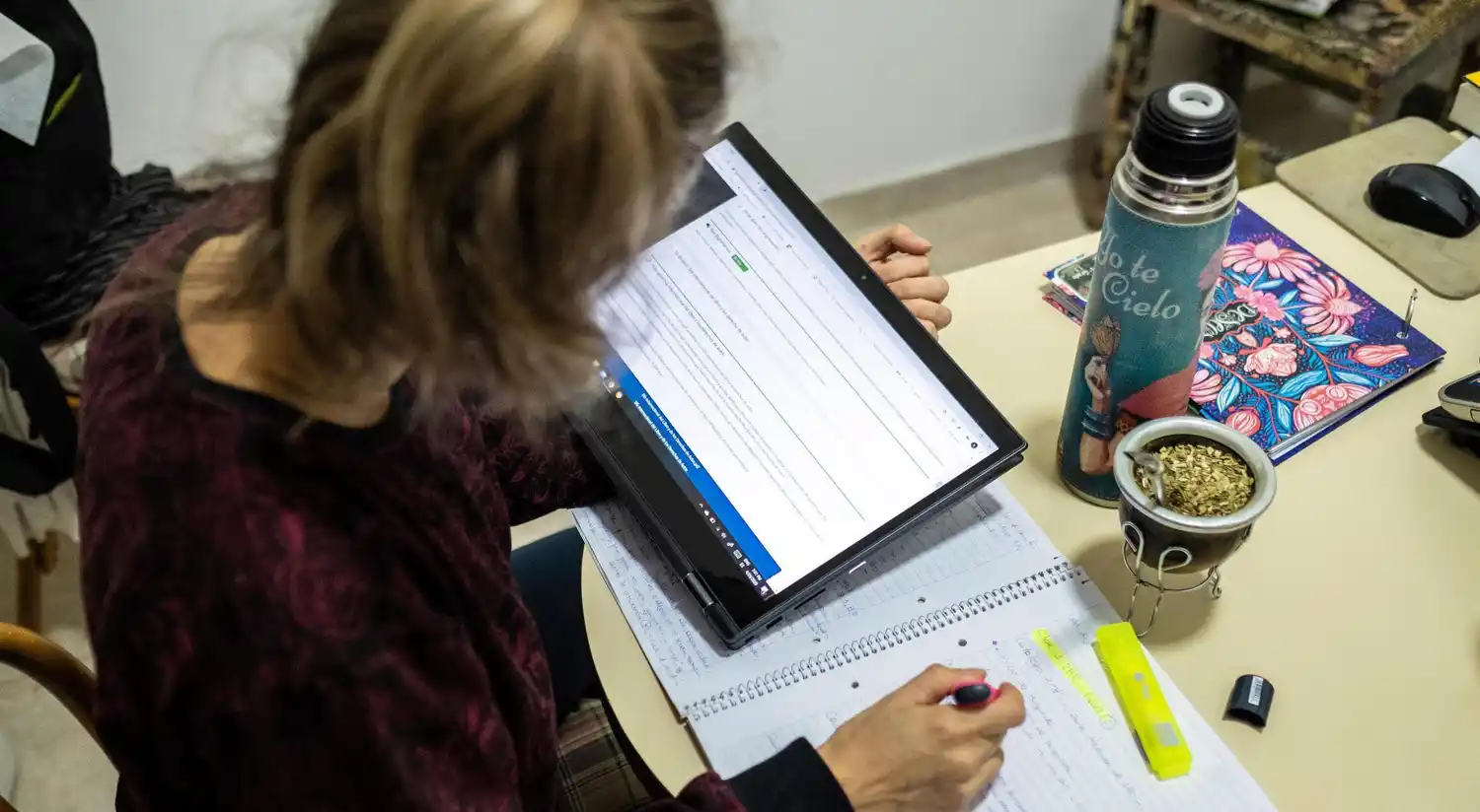 Docentes entrerrianos sin trabajo podrán acceder al IFE de $10.000