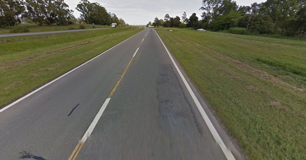Robó en un colectivo y lo mató un auto mientras huía por la ruta