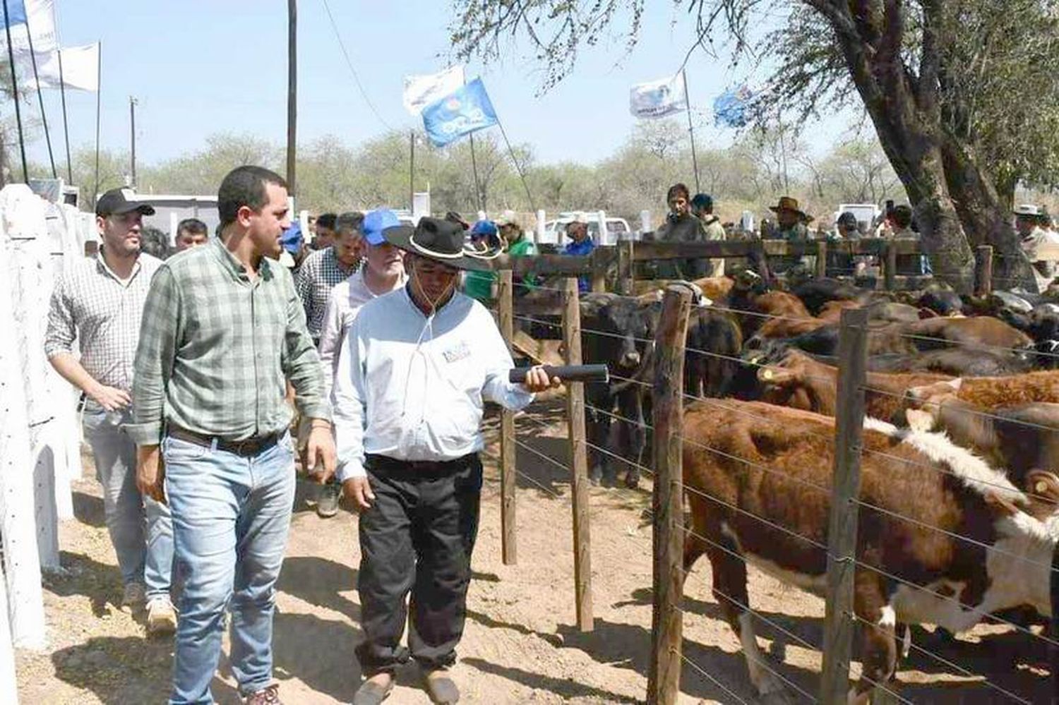 Tuvo lugar la primera Feria ganadera
paippera en Fortín La Soledad