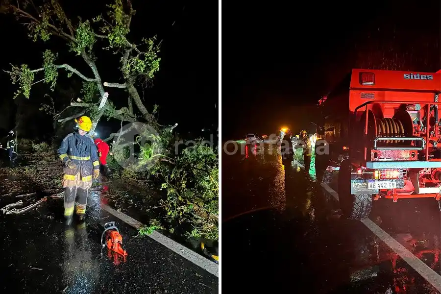 La tormenta causó complicaciones en la Autovía 19: se cayeron varios árboles y tuvieron que intervenir los Bomberos