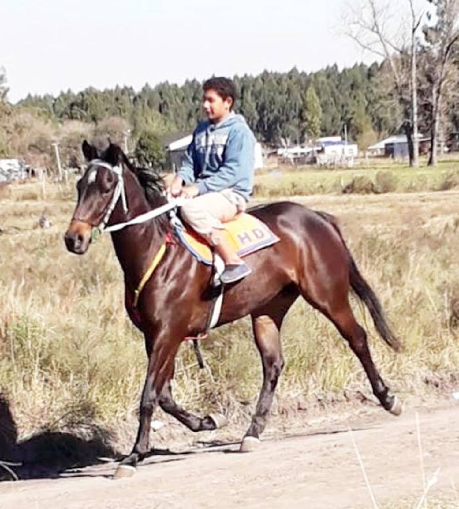 A un año de la muerte de Alexander su madre pidió justicia