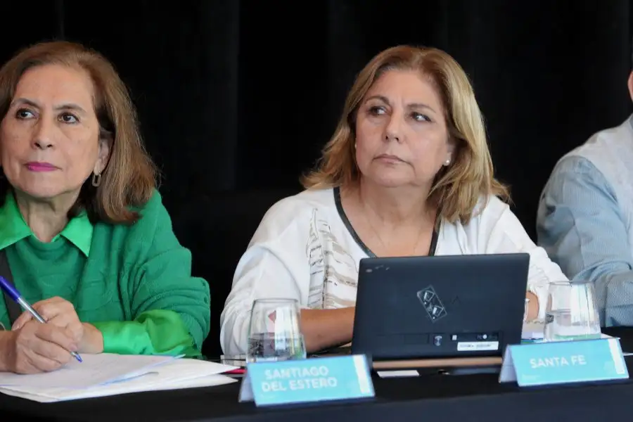 La Ministra Sonia Martorano en el Cofesa