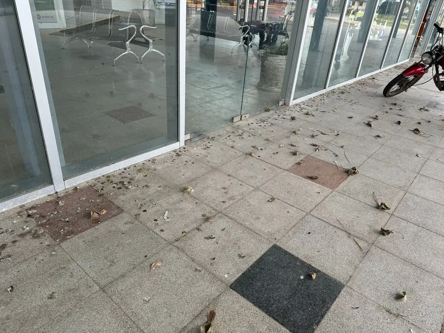 Terminal de ómnibus