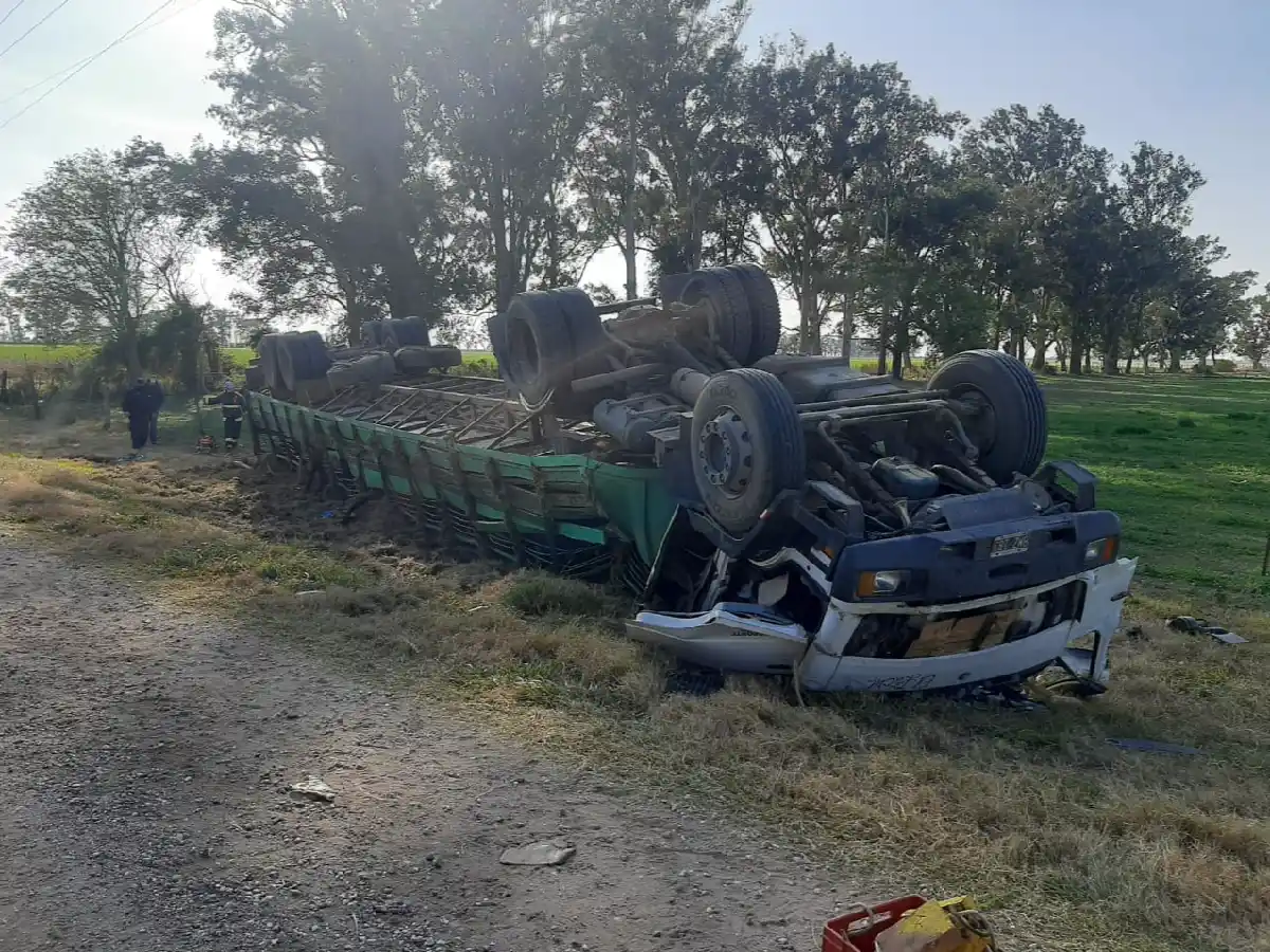 Morteros: tumbó un camión que transportaba ganado
