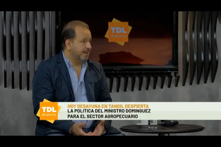 Las políticas nacionales para el sector agropecuario – Tandil Despierta