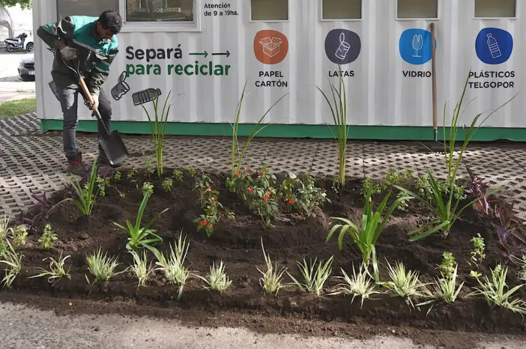Día Mundial de la Educación Ambiental: una propuesta para crear conciencia