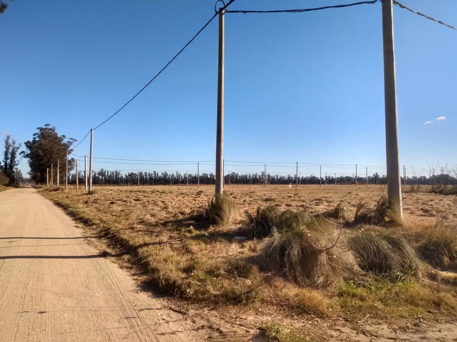 Al autorizar la urbanización privada, el oficialismo apostó a generar lotes para influir sobre el mercado