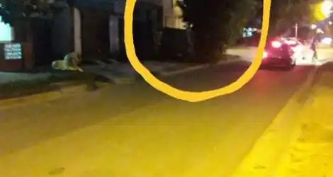 Mal estacionado por mucho tiempo