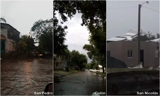 Fuertes tormentas en el norte de la Provincia: Anegamientos, caída de árboles y un muerto por la caída de un rayo
