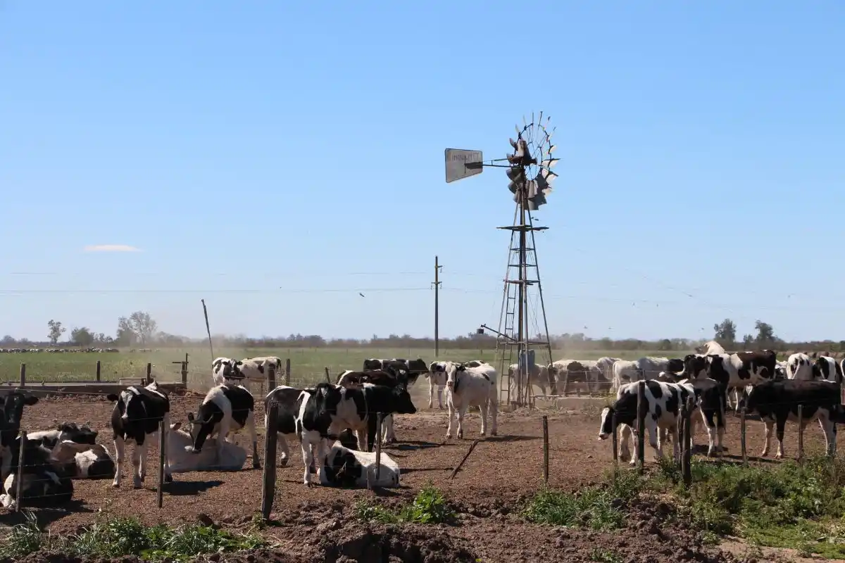 La herramienta tiene por objetivo asistir económicamente a los pequeños y medianos productores tamberos
