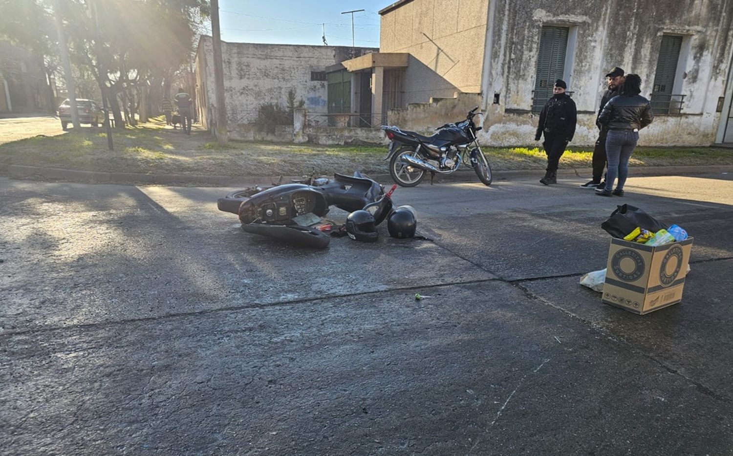 Accidente venado - 2