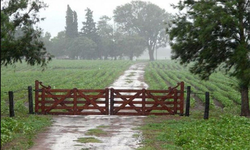 Llegaron las lluvias a la región pampeana y se frena el deterioro de los cultivos