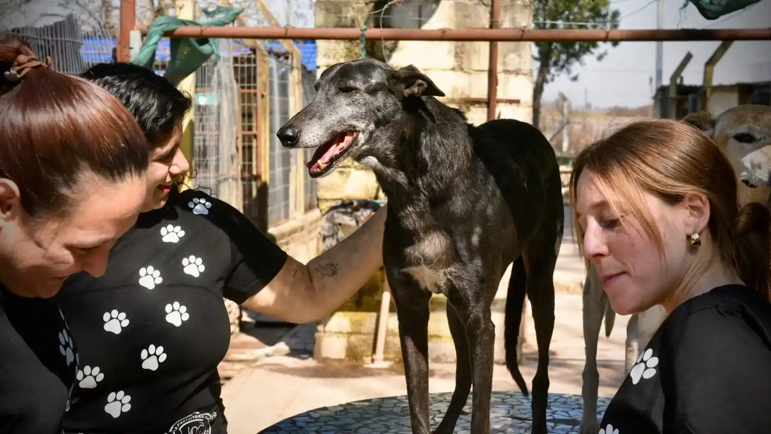 “Adoptar es un compromiso de por vida”, la frase que guía el trabajo diario.