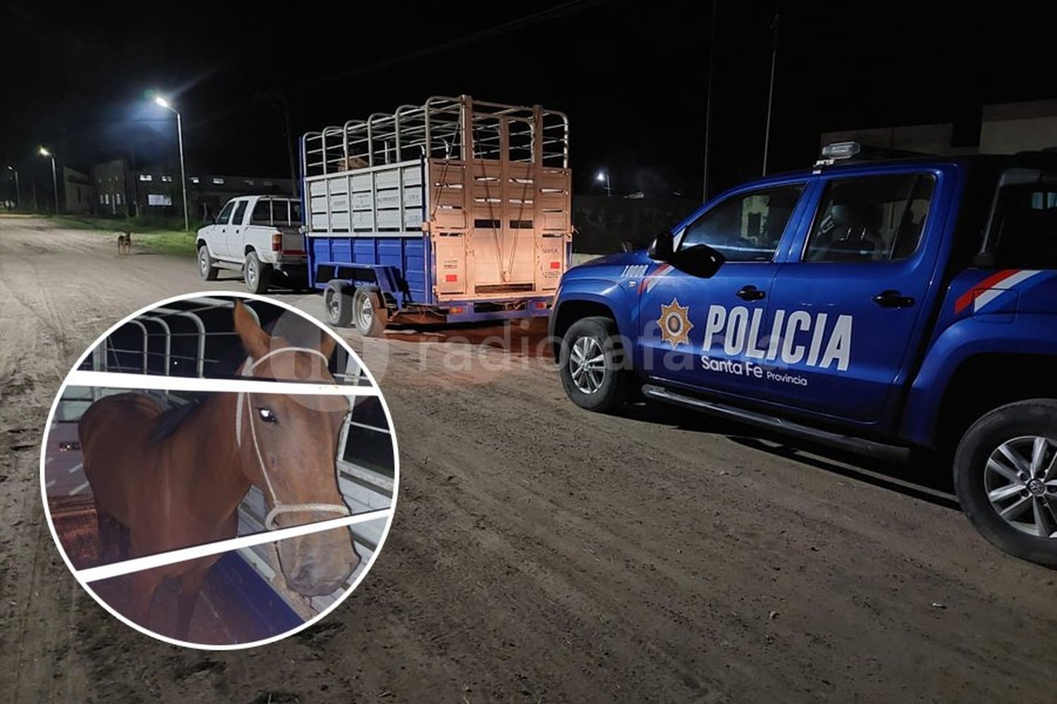 Atraparon a dos hombres transportando un caballo y productos robados