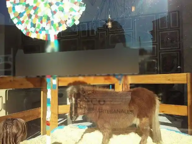 La triste historia de "Tuco", el pony que vivía en la vidriera de una mueblería