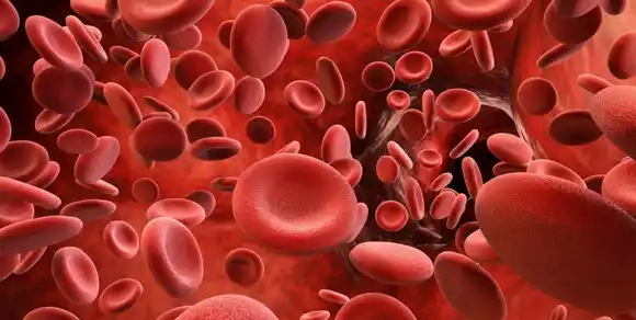 ¿El tipo de sangre tiene relación con el envejecimiento?