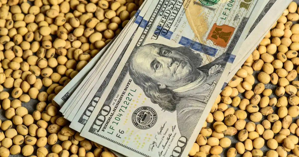 Agroindustria argentina.