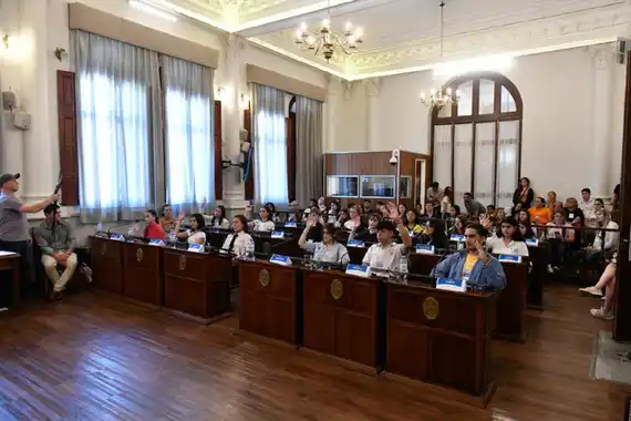 Sesionó el Senado Juvenil: se aprobaron 14 proyectos