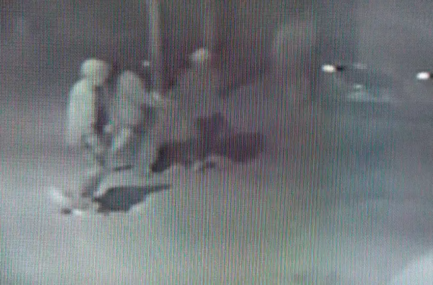 Como "lobos en el bosque": una banda atemoriza la Reserva Forestal Peralta Ramos