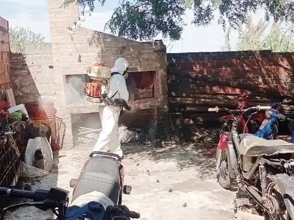 Continúan con los operativos de fumigación