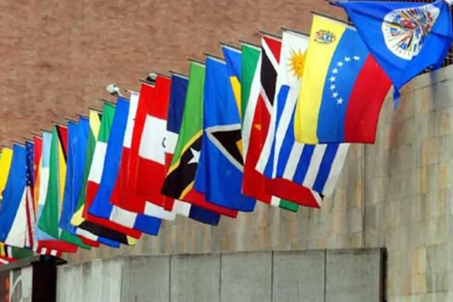 LA OEA condenó la "detención arbitraria" del gendarme argentino en Venezuela