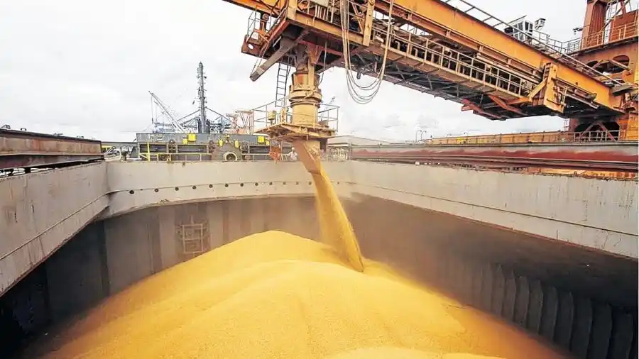 En el primer semestre, las exportaciones del agro generaron casi U$S 4.000 millones más que en 2023