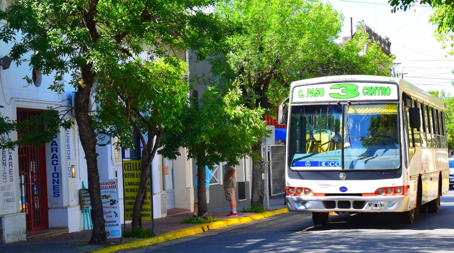 El transporte urbano y suburbano será gratuito para ir a votar este domingo