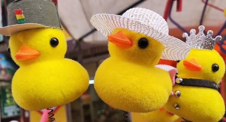 Los patitos kawaii son puestos en la cabeza.