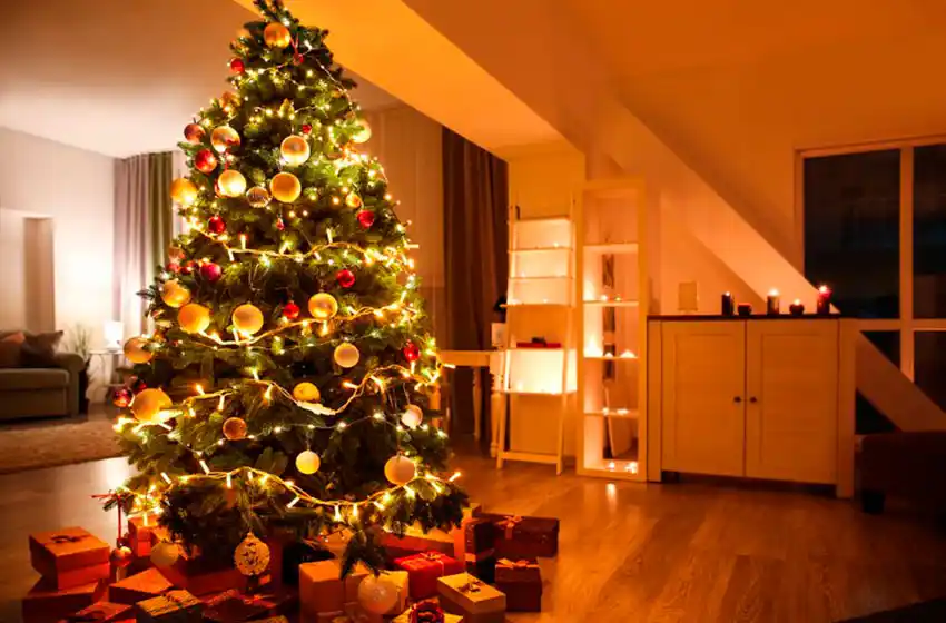 Del roble pagano al pino navideño: orígenes y significados del árbol de Navidad