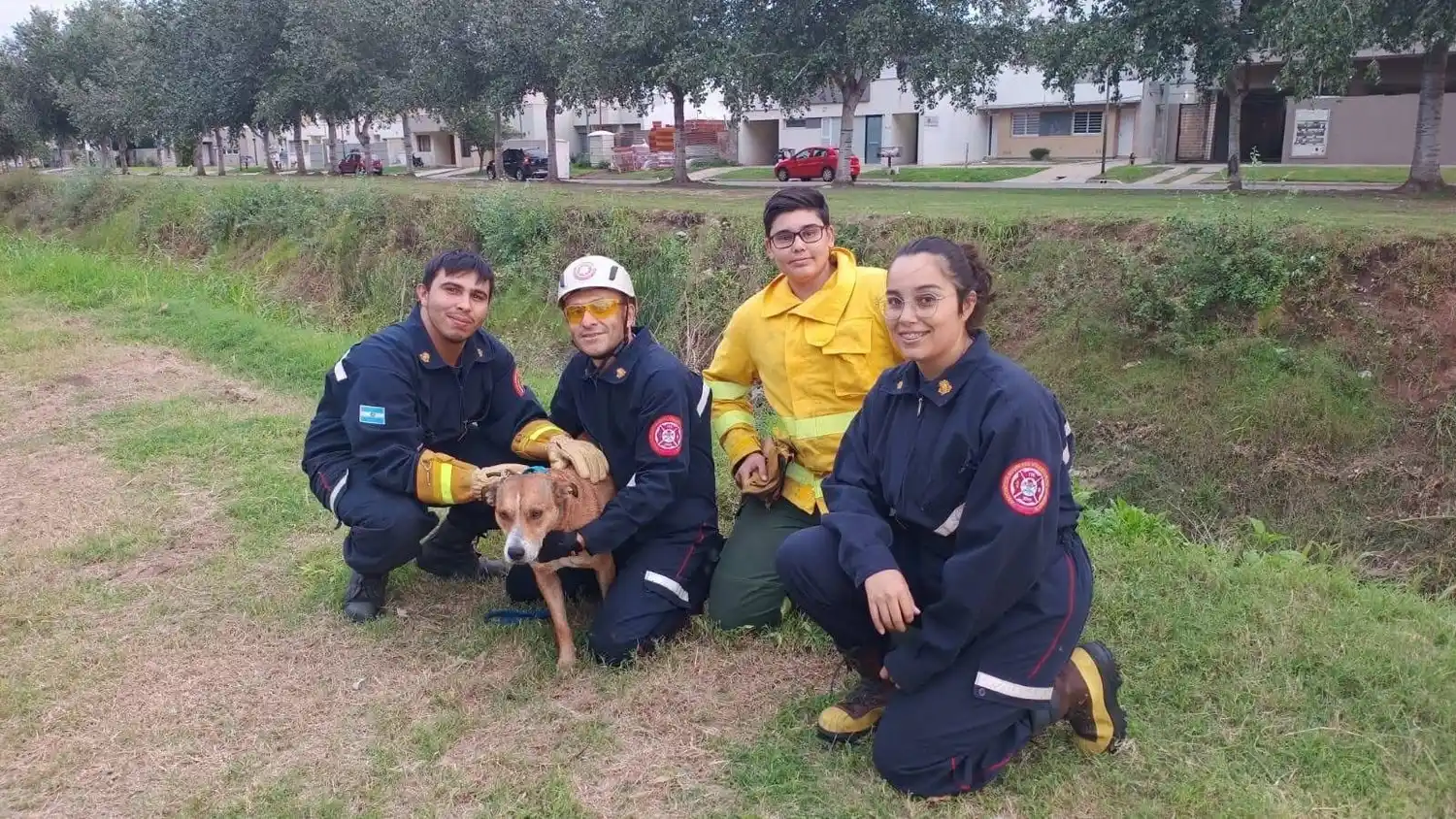 Bomberos Voluntarios rescataron a un perro que se había caído a un canal