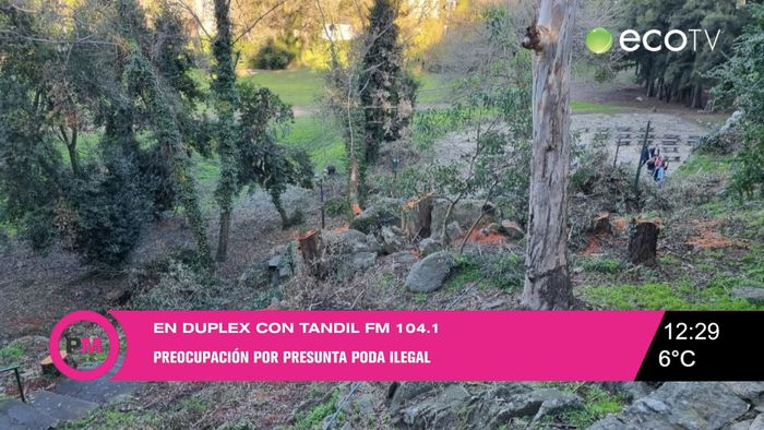 Preocupación por tala de árboles en El Calvario
