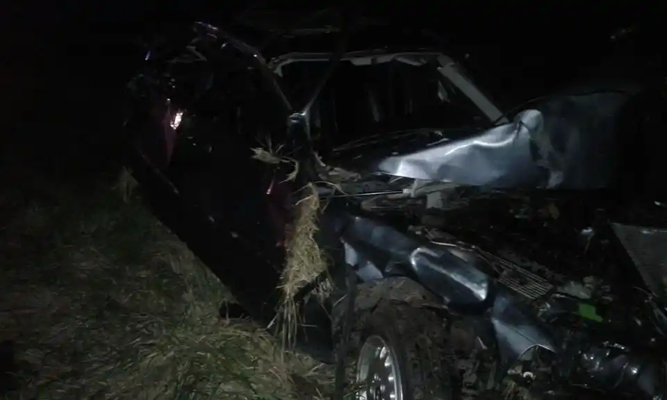 Un marplatense falleció tras volcar con su vehículo en la ruta 226