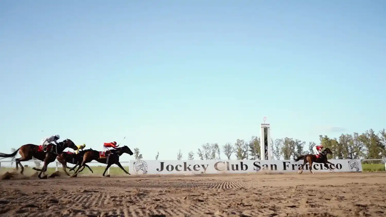 Más de 60 ejemplares de diferentes puntos del país llegaron a nuestra ciudad.