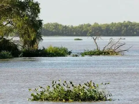 paraná
