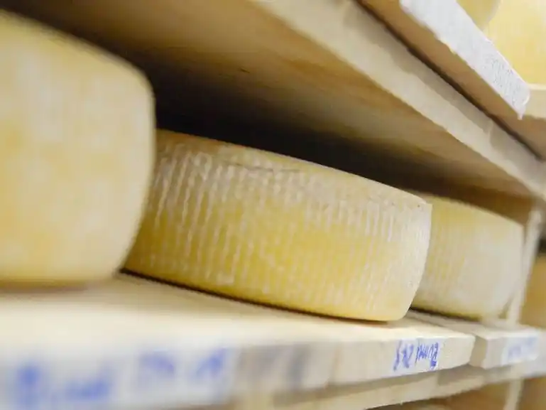 Entre Ríos fortalece su inserción internacional con Estados Unidos