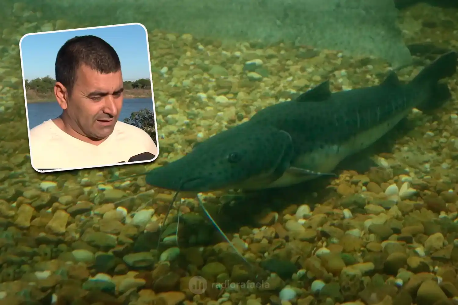 Pescadores santafesinos reclamaron igualdad de condiciones: "No puede prohibirse solo en Santa Fe"