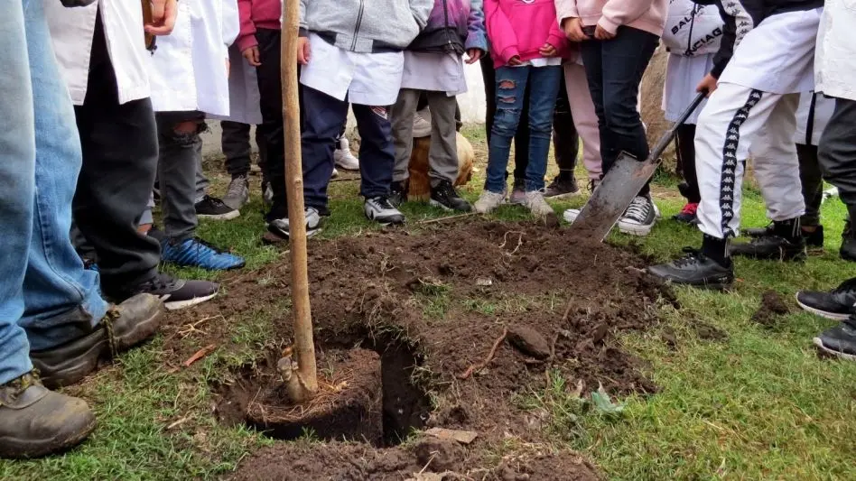 Continúa el Plan Forestar en General Pueyrredon