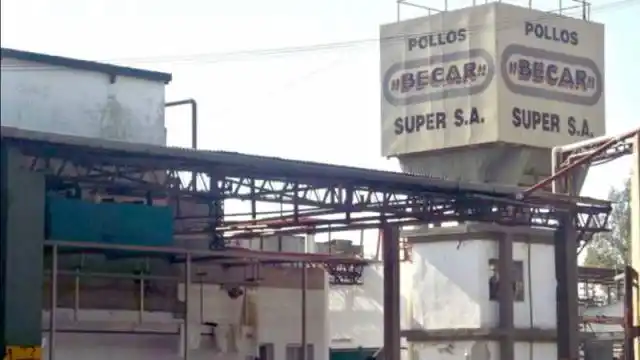 Frigorífico uruguayense licencia a trabajadores por áreas para afrontar la crisis del sector 