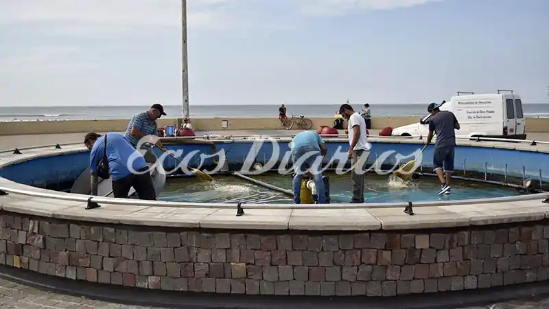 Cargos que se reciclan y personal que ingresará como interino