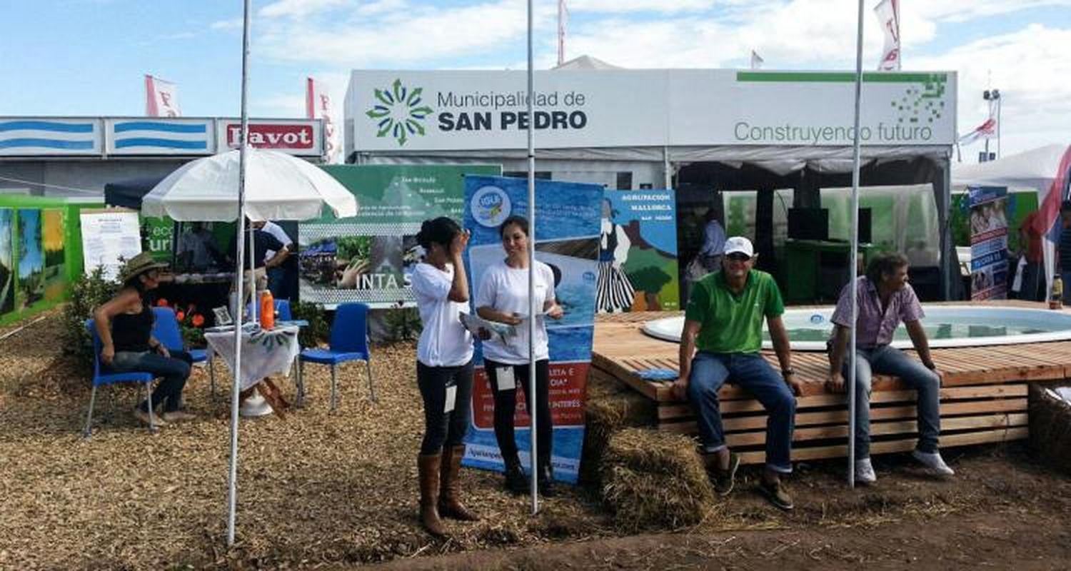 Segundo día de San Pedro en Expoagro