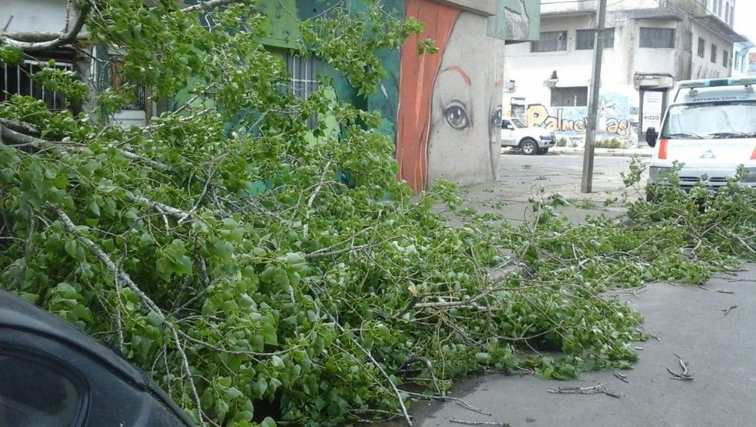 Rige alerta meteorológico por fuerte viento para la ciudad