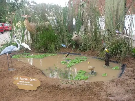 Ave Encuentro de la cuenca del Río Uruguay
