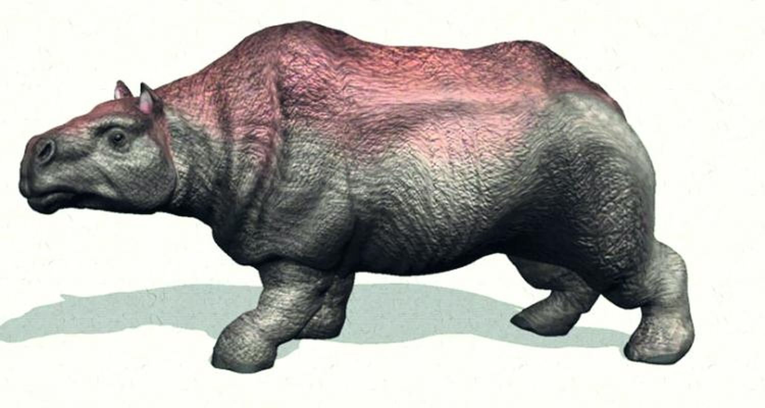 Concurso:  “Buscando al toxodonte”
