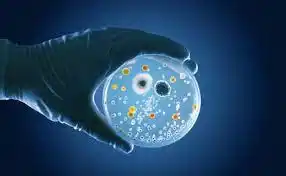 La OMS anunció que vigila nueva variante de covid y se desconoce su impacto