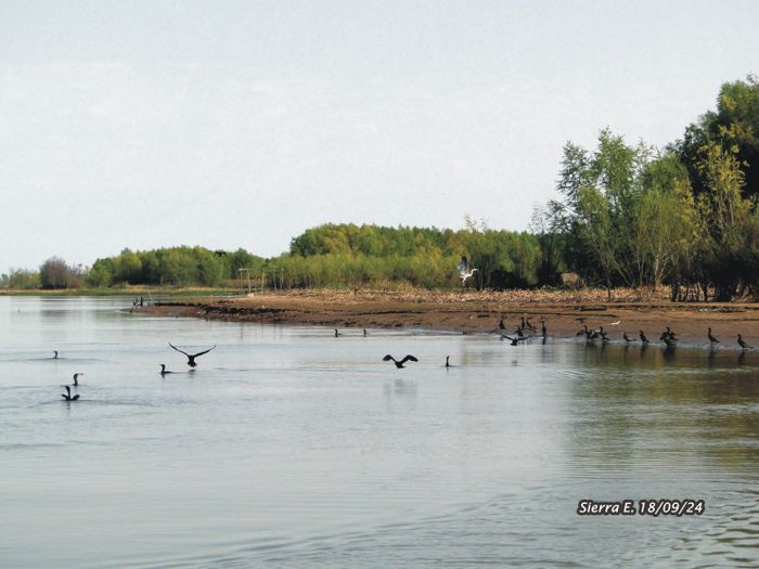 bajante río paraná septiembre 24