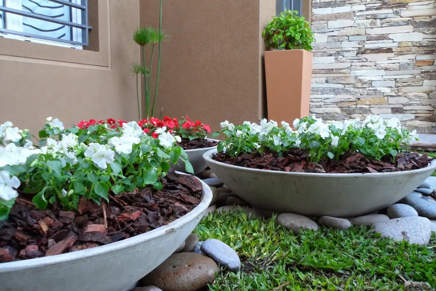 En la sombra también hay verde